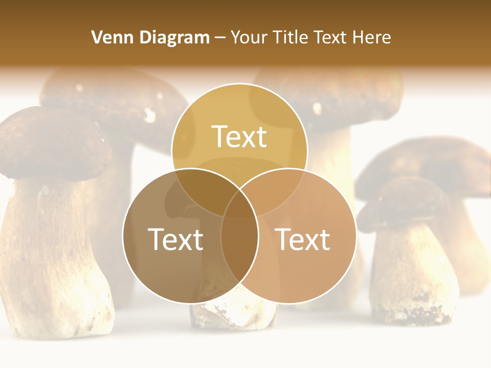 Truffles Grower King Bolete PowerPoint Template