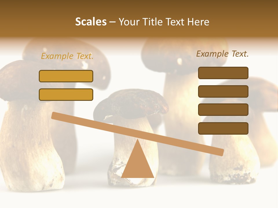 Truffles Grower King Bolete PowerPoint Template