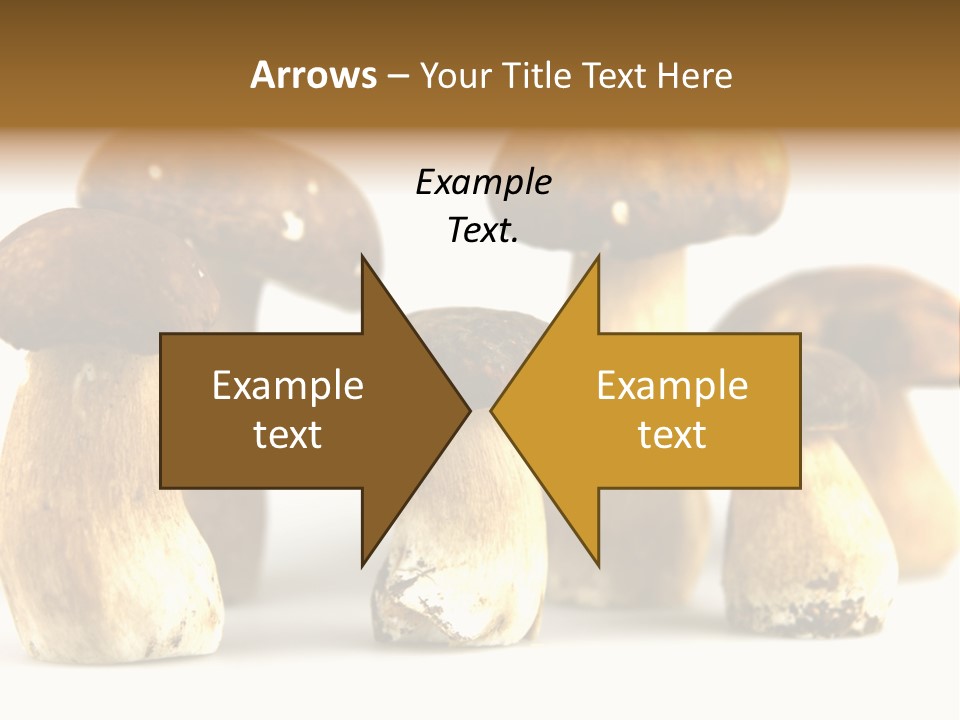 Truffles Grower King Bolete PowerPoint Template