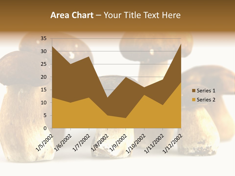 Truffles Grower King Bolete PowerPoint Template