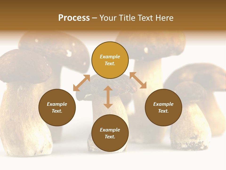 Truffles Grower King Bolete PowerPoint Template