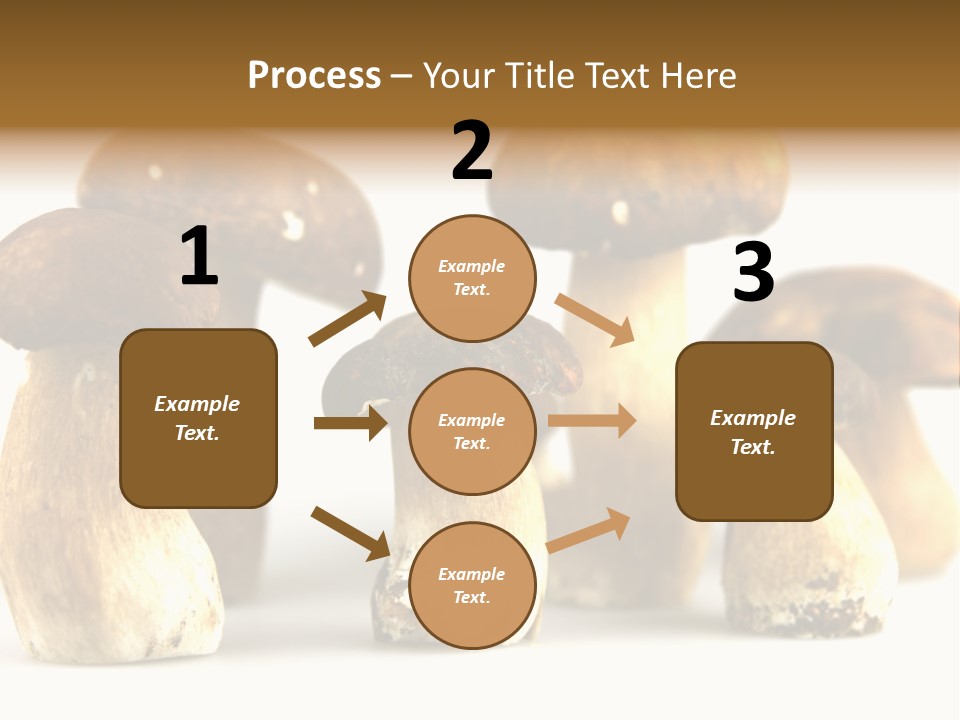 Truffles Grower King Bolete PowerPoint Template