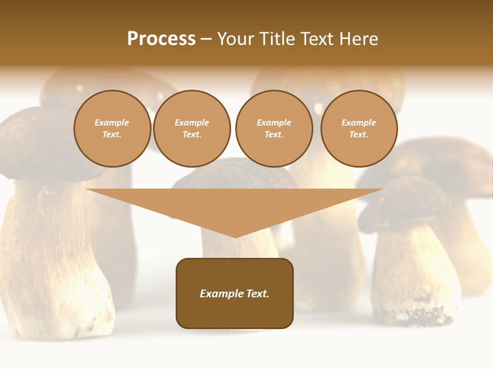 Truffles Grower King Bolete PowerPoint Template