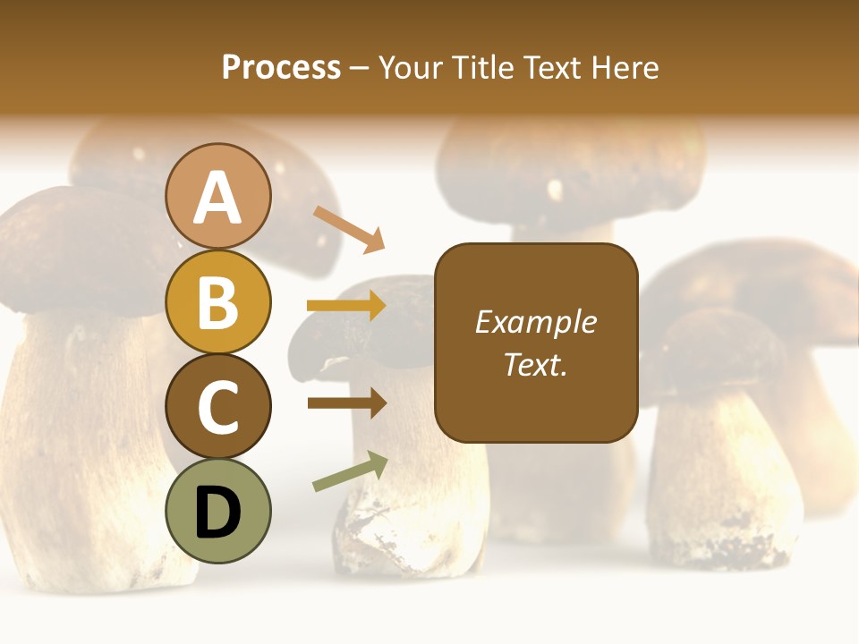 Truffles Grower King Bolete PowerPoint Template