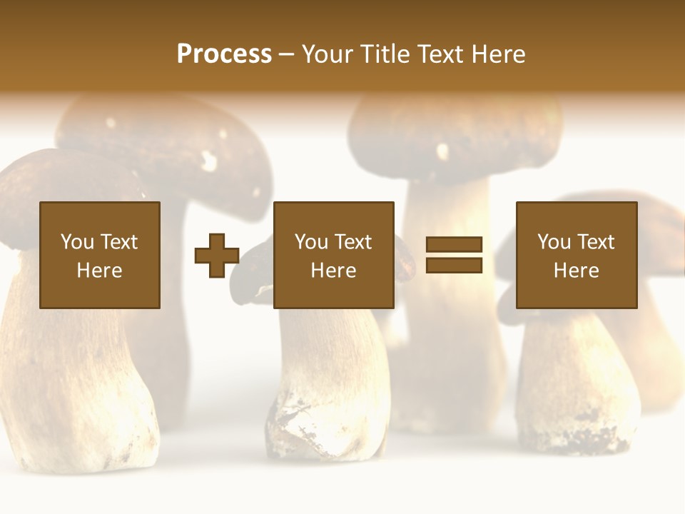 Truffles Grower King Bolete PowerPoint Template