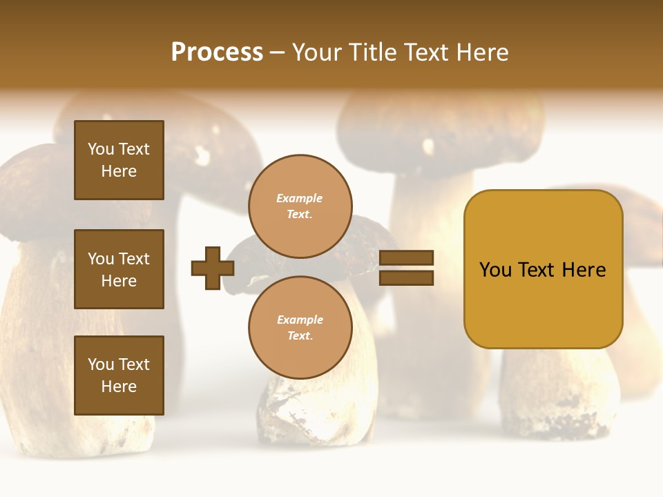 Truffles Grower King Bolete PowerPoint Template
