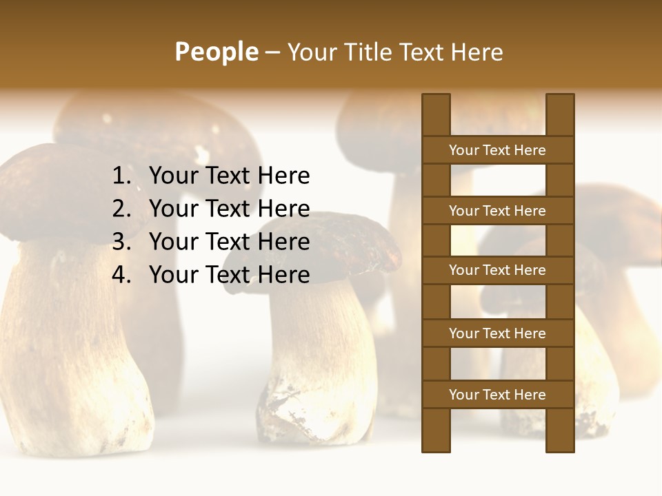 Truffles Grower King Bolete PowerPoint Template