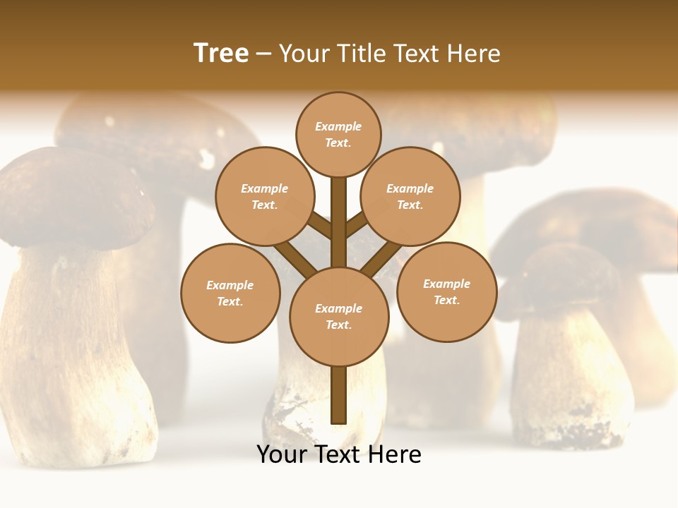 Truffles Grower King Bolete PowerPoint Template