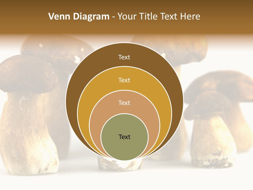 Truffles Grower King Bolete PowerPoint Template