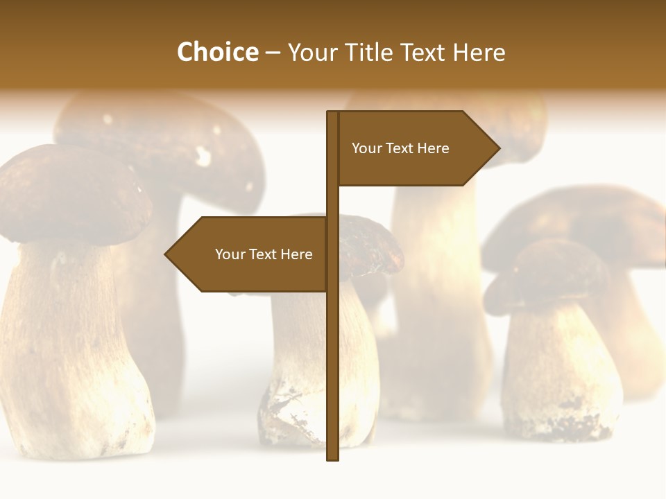 Truffles Grower King Bolete PowerPoint Template