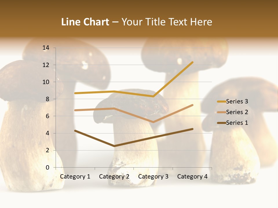 Truffles Grower King Bolete PowerPoint Template