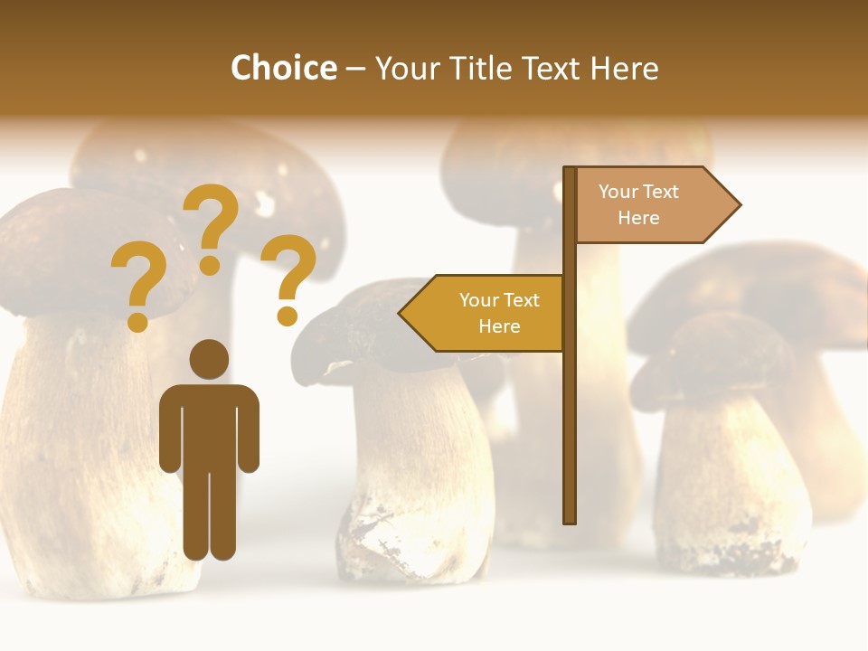 Truffles Grower King Bolete PowerPoint Template
