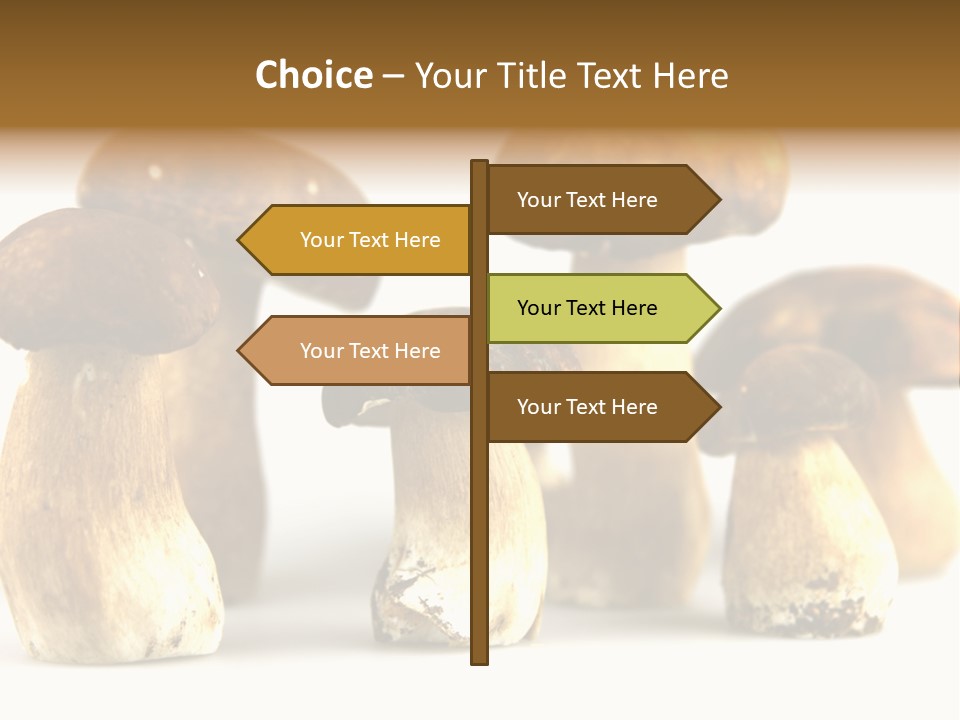 Truffles Grower King Bolete PowerPoint Template