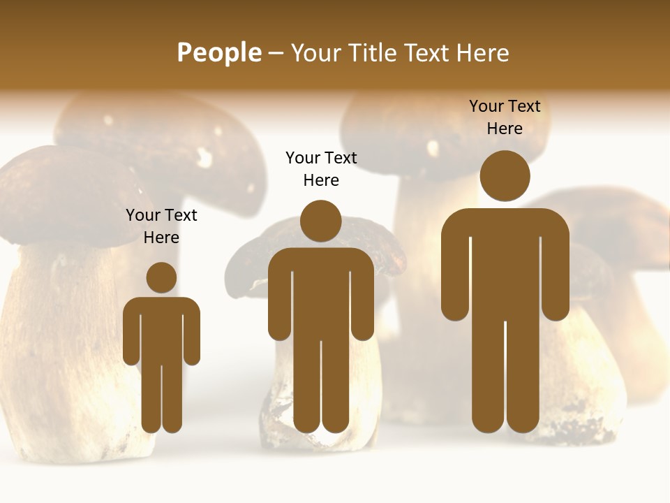 Truffles Grower King Bolete PowerPoint Template