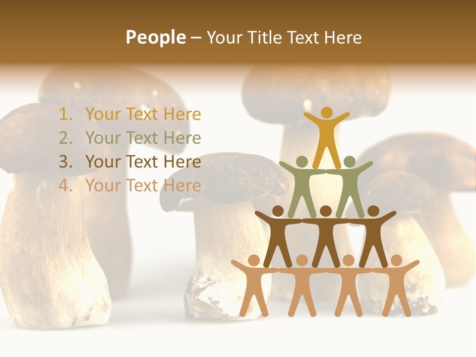 Truffles Grower King Bolete PowerPoint Template