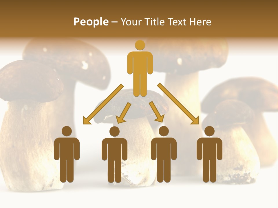 Truffles Grower King Bolete PowerPoint Template