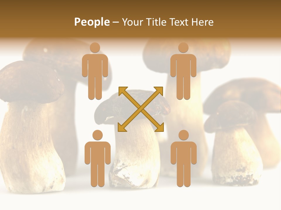 Truffles Grower King Bolete PowerPoint Template