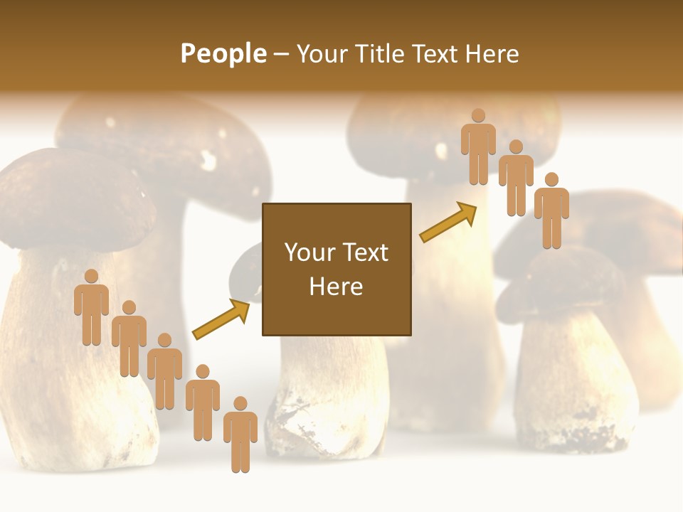 Truffles Grower King Bolete PowerPoint Template