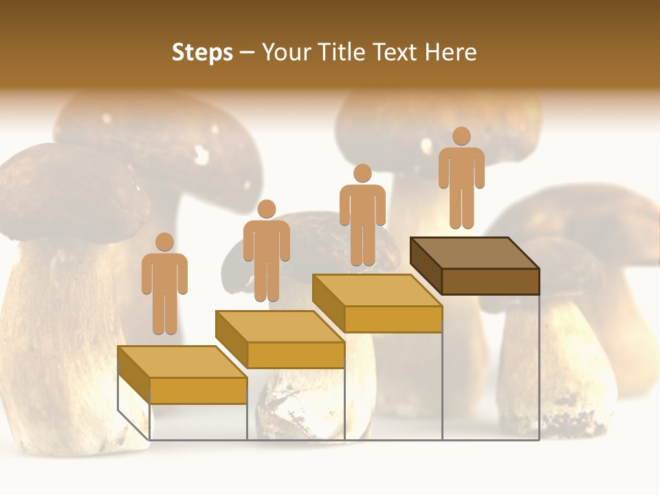 Truffles Grower King Bolete PowerPoint Template
