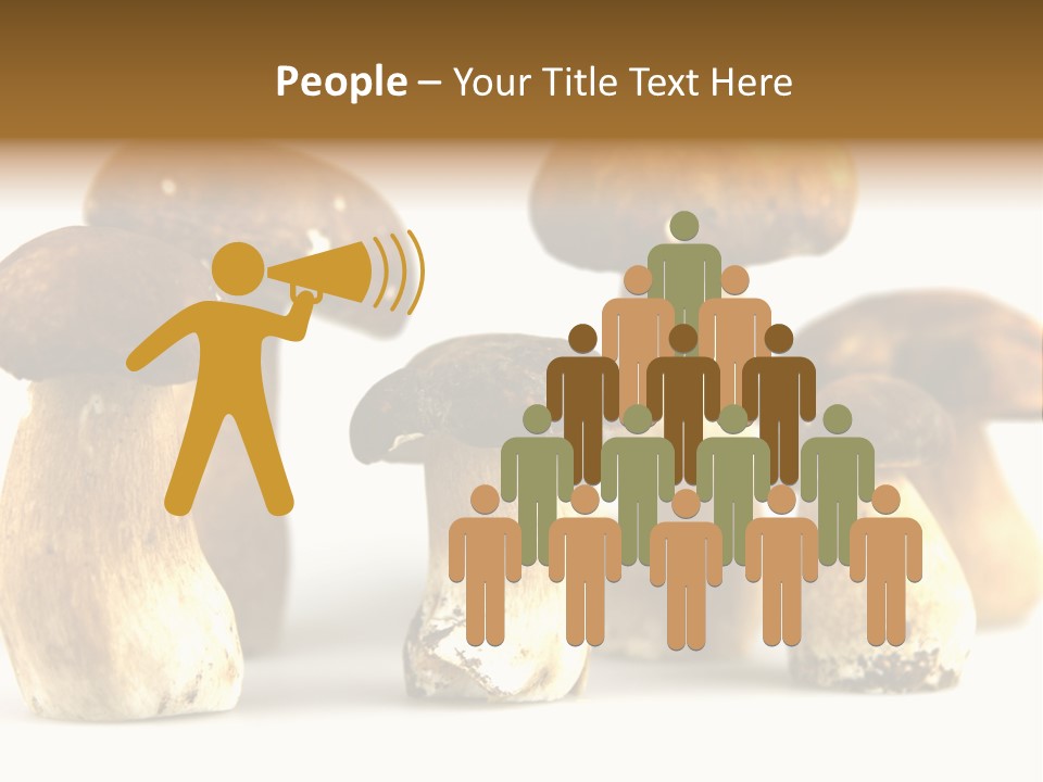 Truffles Grower King Bolete PowerPoint Template