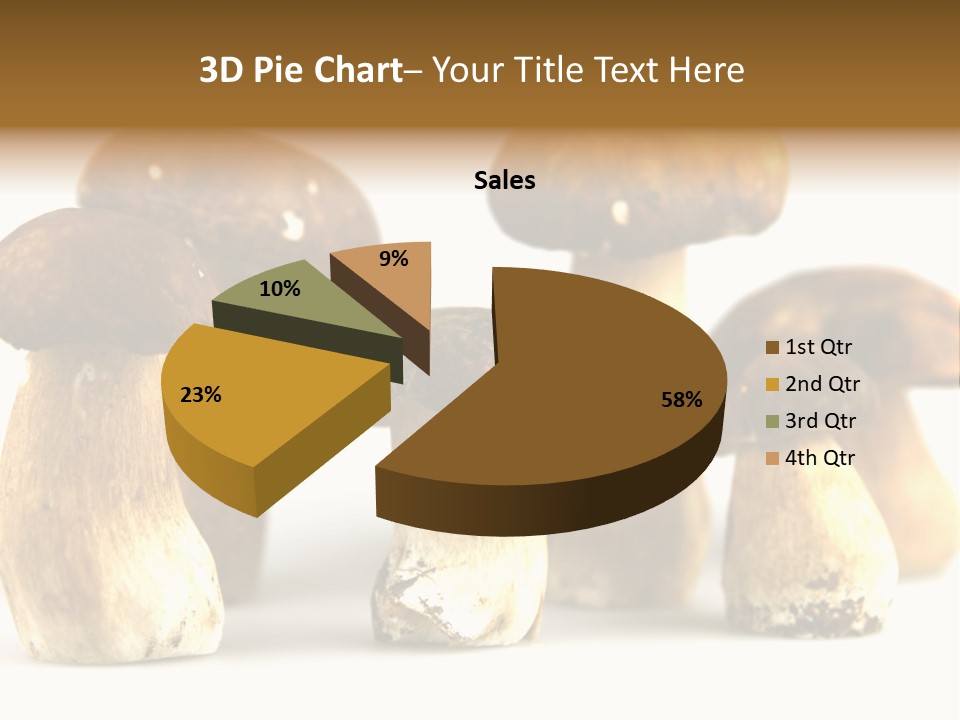 Truffles Grower King Bolete PowerPoint Template
