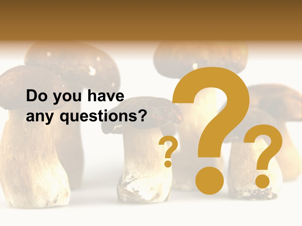 Truffles Grower King Bolete PowerPoint Template