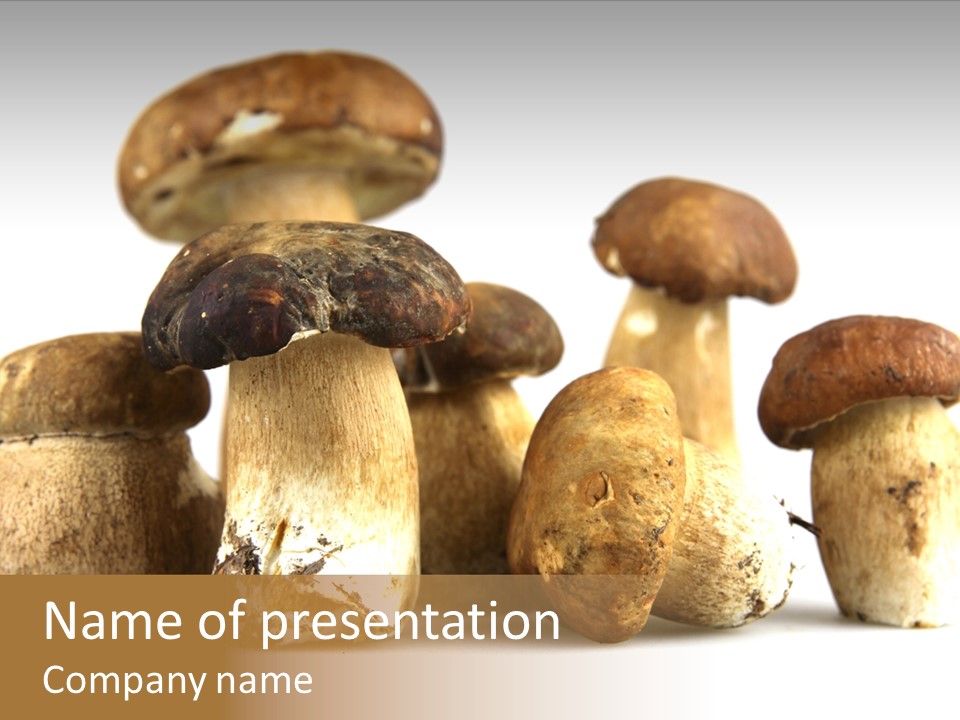 Mushrooms Steak Grow PowerPoint Template
