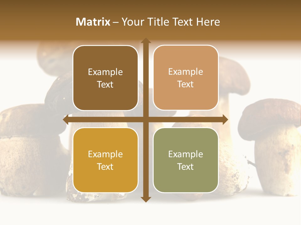 Mushrooms Steak Grow PowerPoint Template