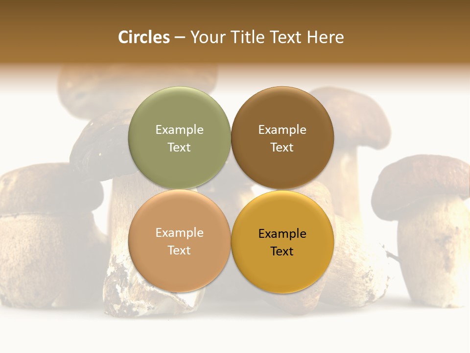 Mushrooms Steak Grow PowerPoint Template