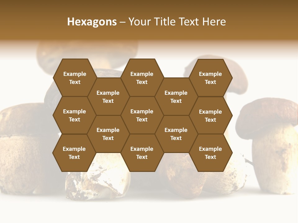 Mushrooms Steak Grow PowerPoint Template