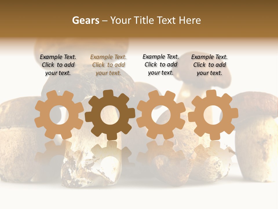 Mushrooms Steak Grow PowerPoint Template