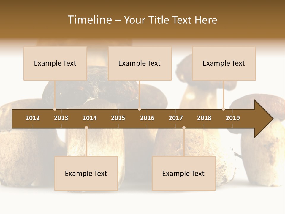 Mushrooms Steak Grow PowerPoint Template