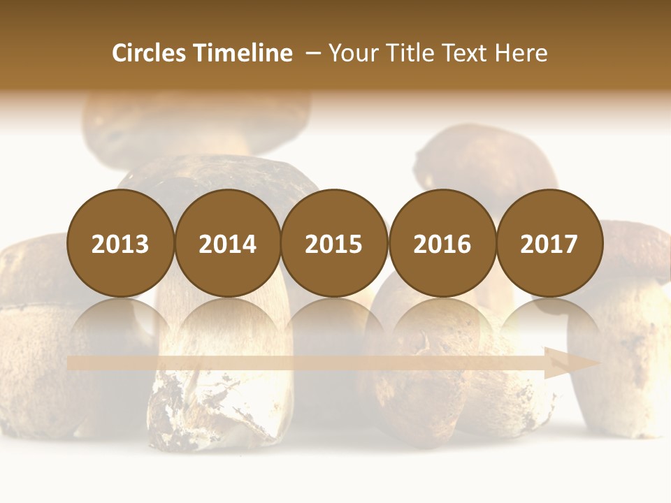 Mushrooms Steak Grow PowerPoint Template