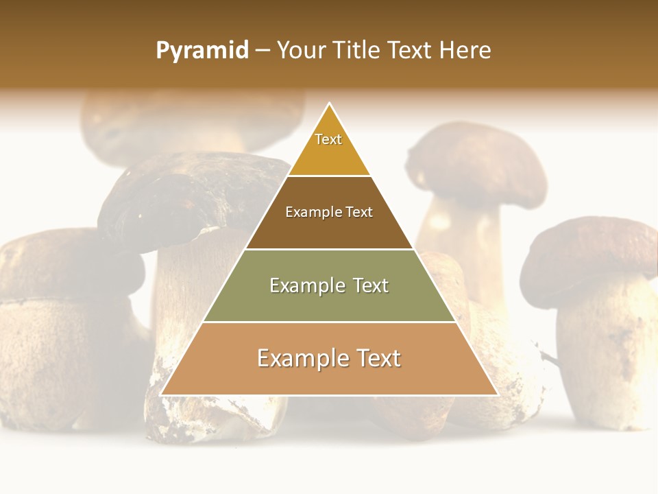 Mushrooms Steak Grow PowerPoint Template