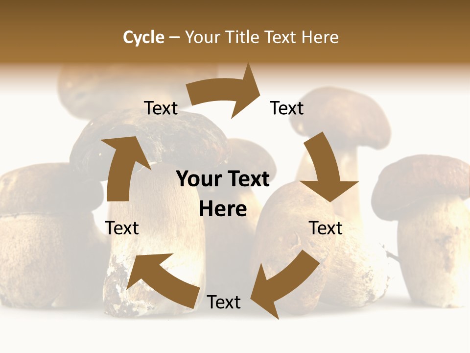 Mushrooms Steak Grow PowerPoint Template