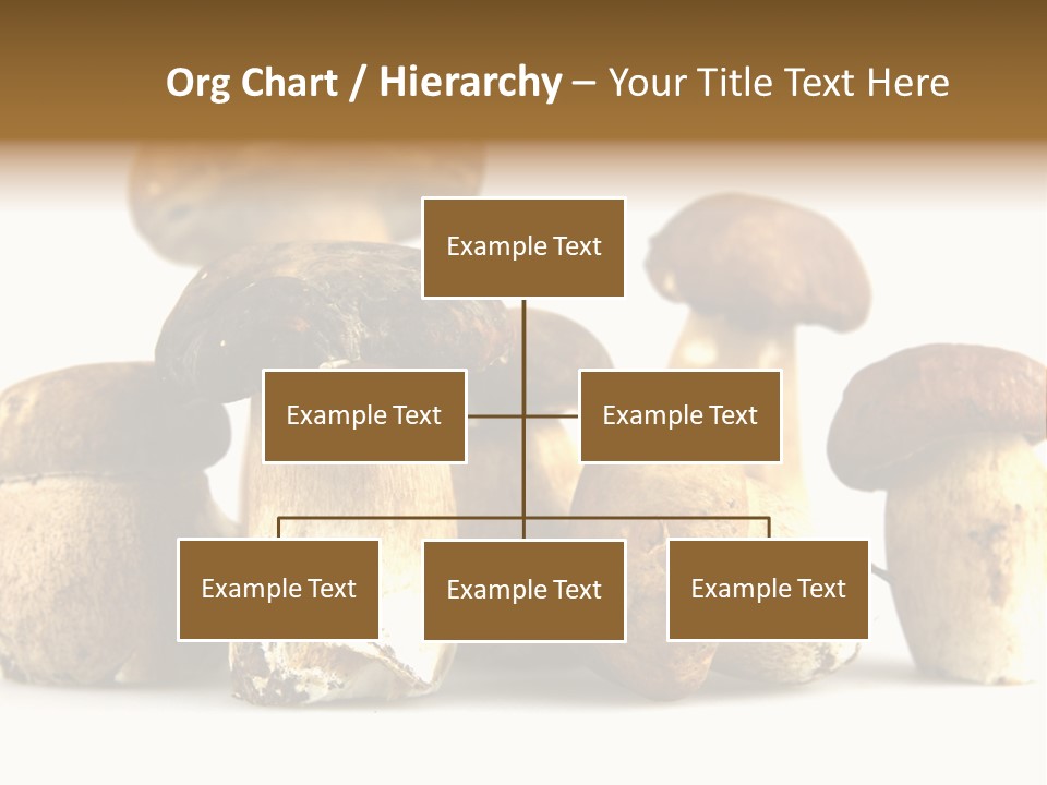 Mushrooms Steak Grow PowerPoint Template