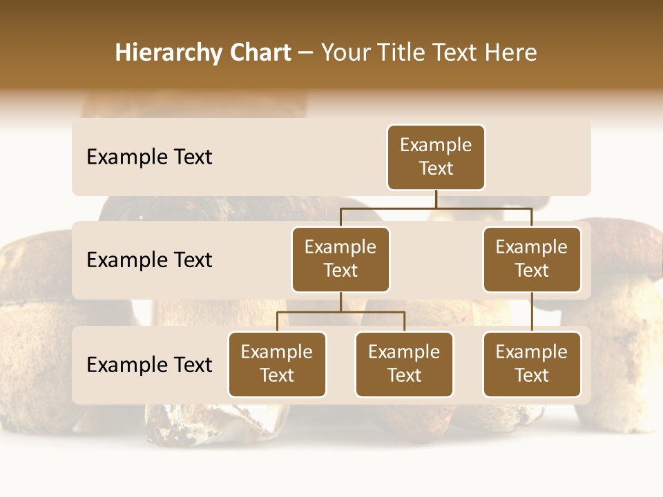 Mushrooms Steak Grow PowerPoint Template