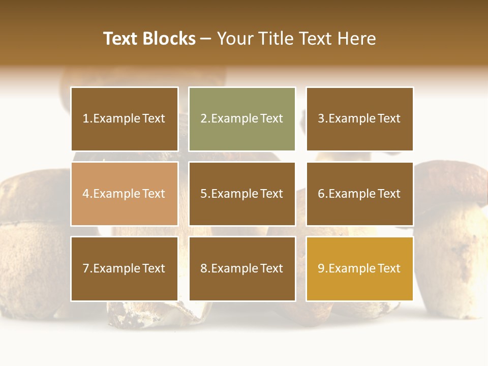 Mushrooms Steak Grow PowerPoint Template