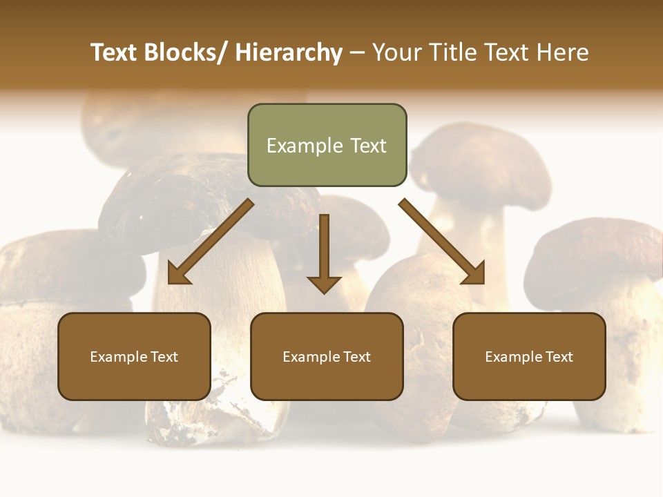 Mushrooms Steak Grow PowerPoint Template