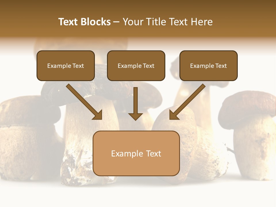 Mushrooms Steak Grow PowerPoint Template
