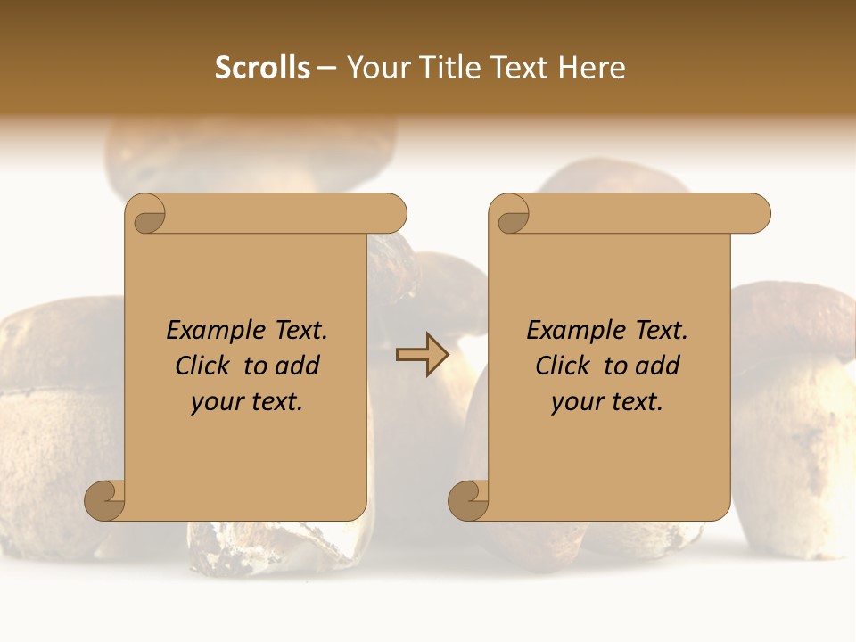 Mushrooms Steak Grow PowerPoint Template
