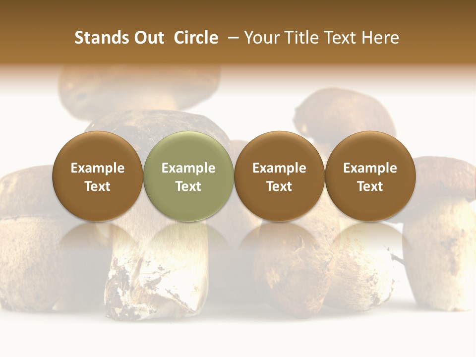 Mushrooms Steak Grow PowerPoint Template