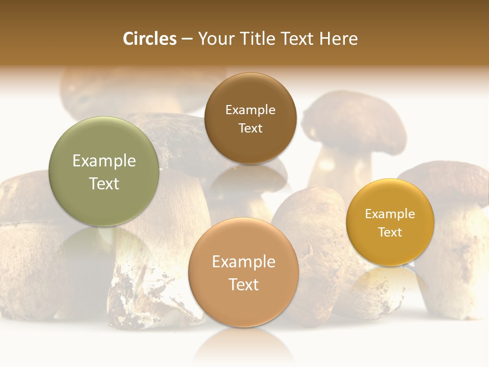 Mushrooms Steak Grow PowerPoint Template