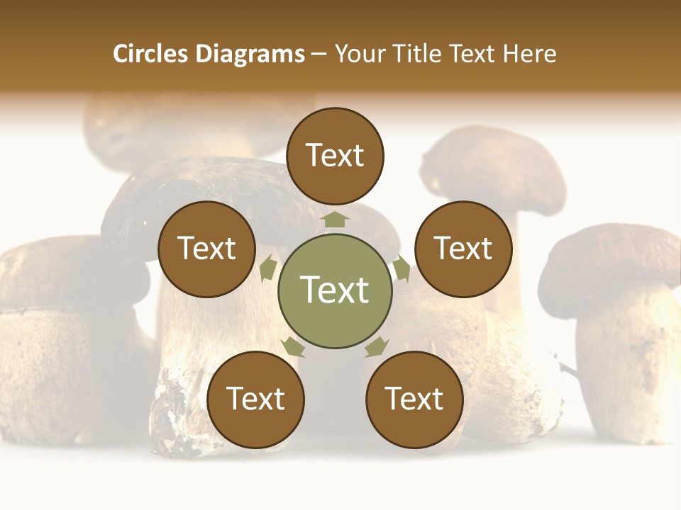 Mushrooms Steak Grow PowerPoint Template