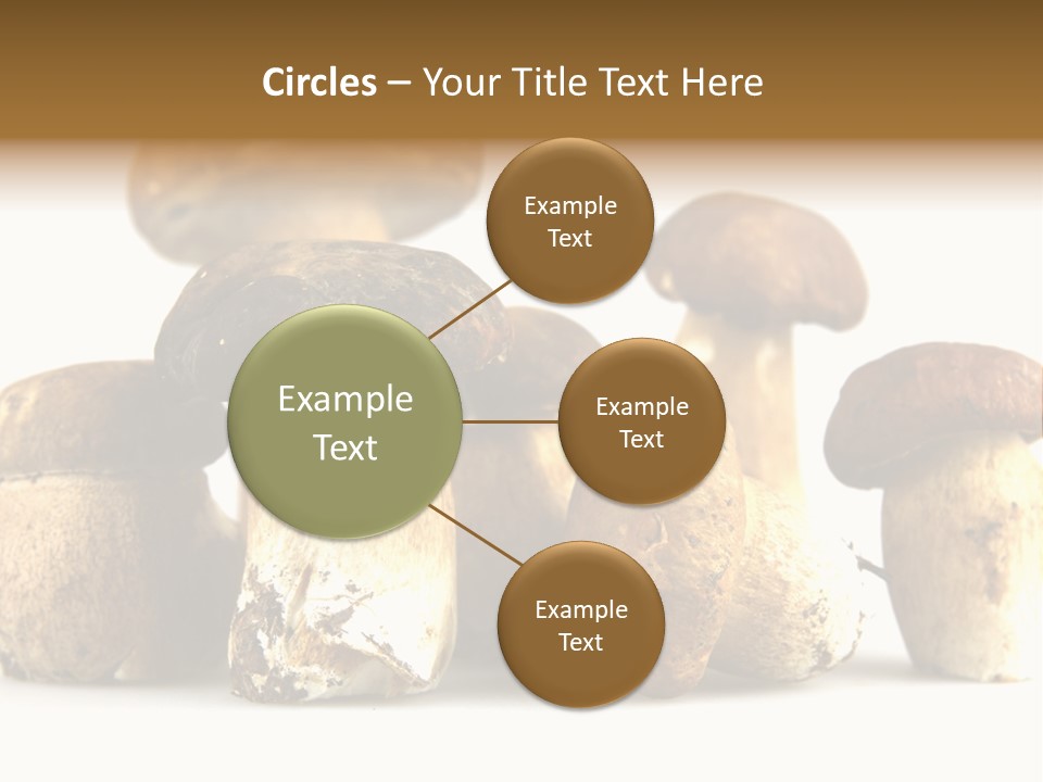 Mushrooms Steak Grow PowerPoint Template