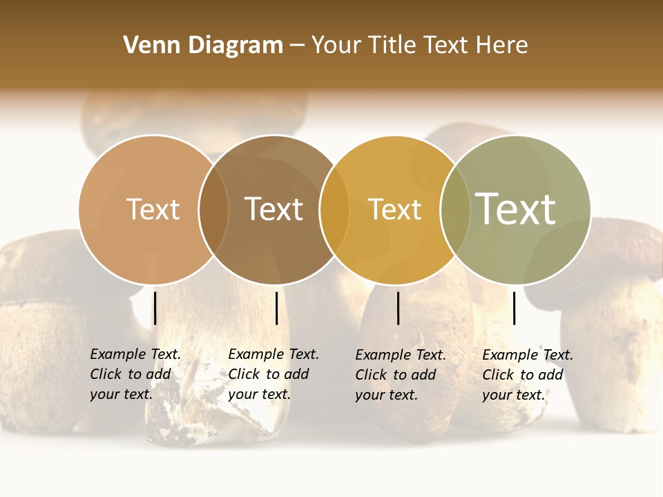 Mushrooms Steak Grow PowerPoint Template