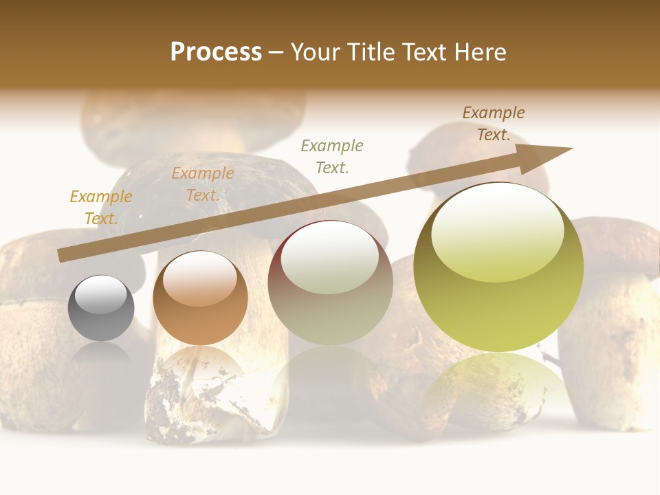 Mushrooms Steak Grow PowerPoint Template