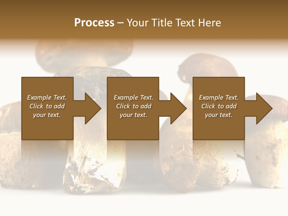 Mushrooms Steak Grow PowerPoint Template