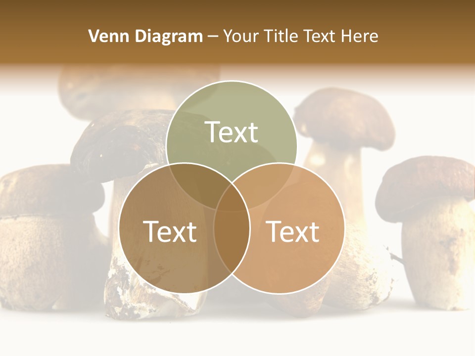 Mushrooms Steak Grow PowerPoint Template