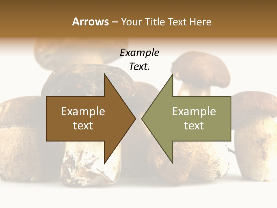 Mushrooms Steak Grow PowerPoint Template